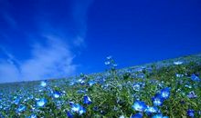 励志成熟走心的句子