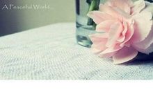 用诗句表达爱意