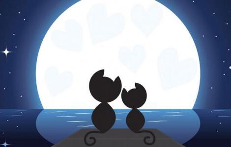 甜蜜的爱签名集合