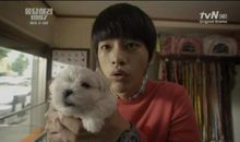 请回答1997经典台词