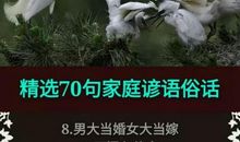 夫妻之间的谚语