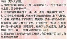 小学比喻句常见