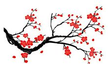 梅花的描写句子