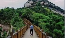 描写松树品质的段落