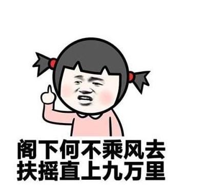 骂人的经典句子