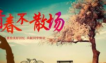 毕业青春不散场的句子