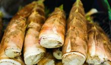 关于竹笋的比喻句