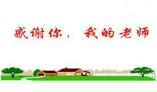 表达老师的句子