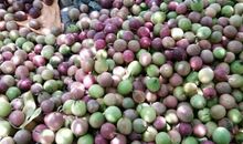 大班毕业教师催泪感言