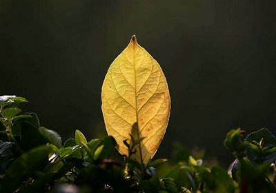 生活就像冲浪，是逆境中的一种向上体验1