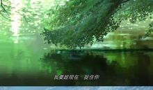 言叶之庭经典语录