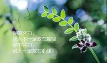 朋友圈哲理性句子