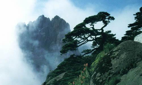 形容黄山的句子