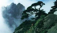 形容黄山的句子