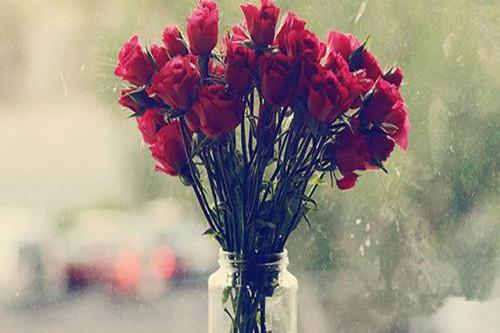 夫妇的愿望完整集