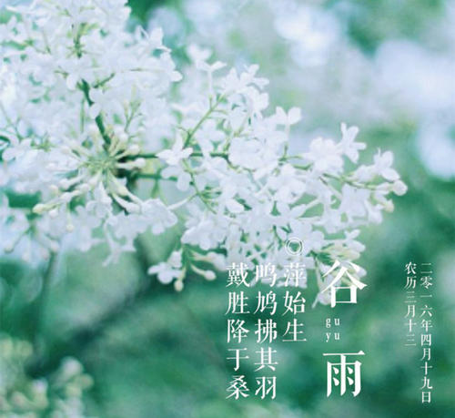 古雨季节的问候