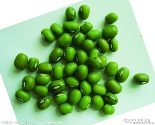 绿豆的隐喻