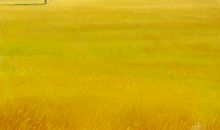 麦田的守望者经典语录