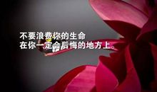 每日语录人生感悟回家