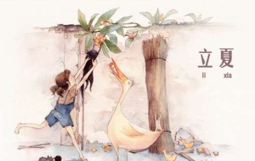 关于丽霞的谚语