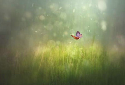 感性地生活，理性地思考生活1