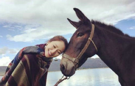 只有独立透明，才能拥有最美丽的外表