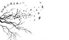 qq说说大全青春励志