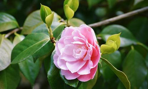 一点深情的诗句