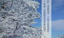 大雪的诗句