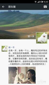 在微信上谈论孩子的四岁生日