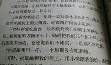 写人多的比喻句