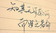 描写无可奈何的句子