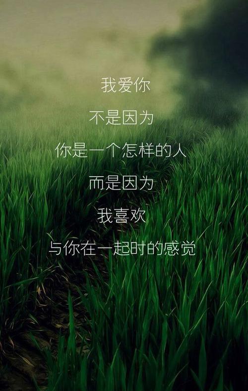 耸人听闻的文字