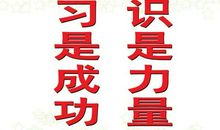 关于学校的标语