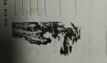 关于松树的诗句古诗