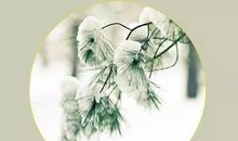 大雪节气养生祝福语