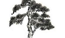 描写松树品质的诗句