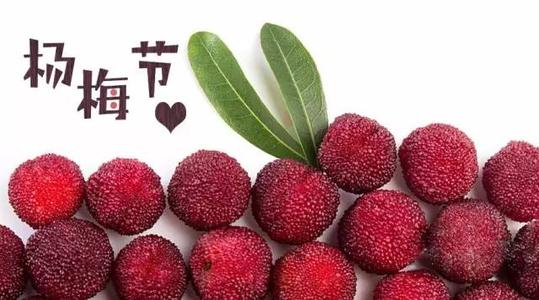 关于杨梅的寓言