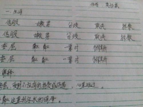 不仅...而且还用一句话