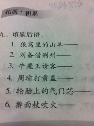 大白菜长心谢厚余