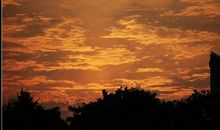 描写清晨日出的句子