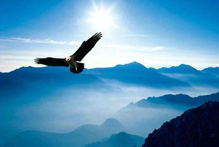 如果您改善生活，世界将为您打开道路1