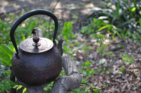 如果您的心脏安定下来,仔细品尝,您将可以收获很多1