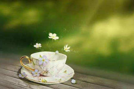 冷漠，谦卑与和平，要原谅