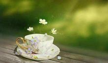 内心淡然，谦逊平和，宽待众生