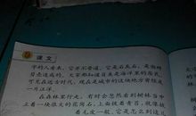 有关动物天气的谚语