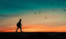 人生有时候别无选择，只能没头没脑地往前走