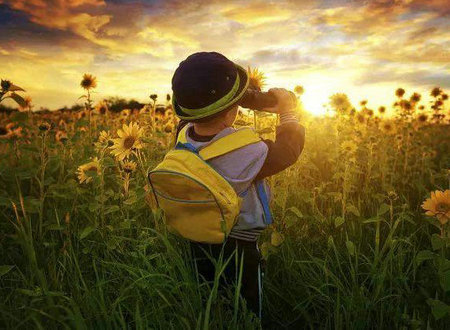 尽管生活在前进，但有一天它会开花并结出果实1