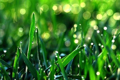 关于谷瑜节气的谚语