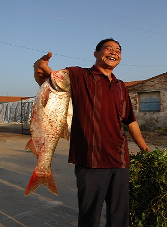 可怜的木匠开寓言